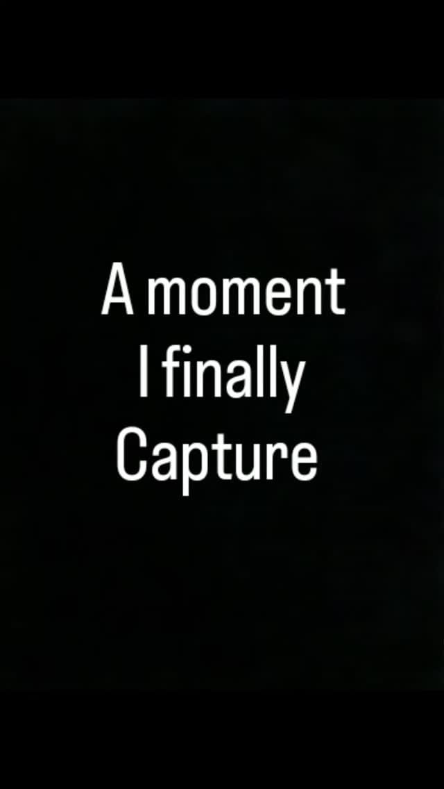 Post 6 by Joel & April |CHICAGO PHOTOGRAPHY | CREATOR on Instagram (video)