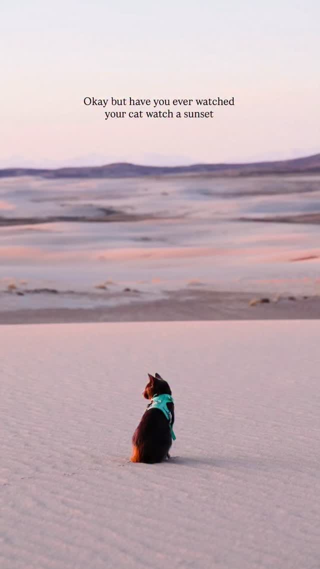Post 2 by Shalee | Adventure Travel on Instagram (video)