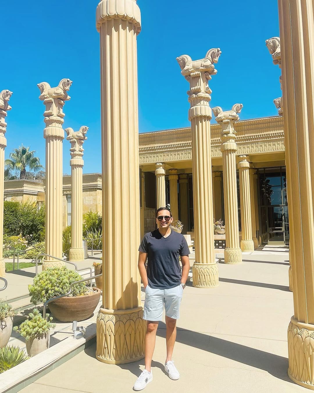 Post 5 by Dr. Nemat Shafizadeh on Instagram (image)