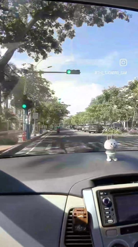 Post 10 by ZoElRei's on Instagram (video)