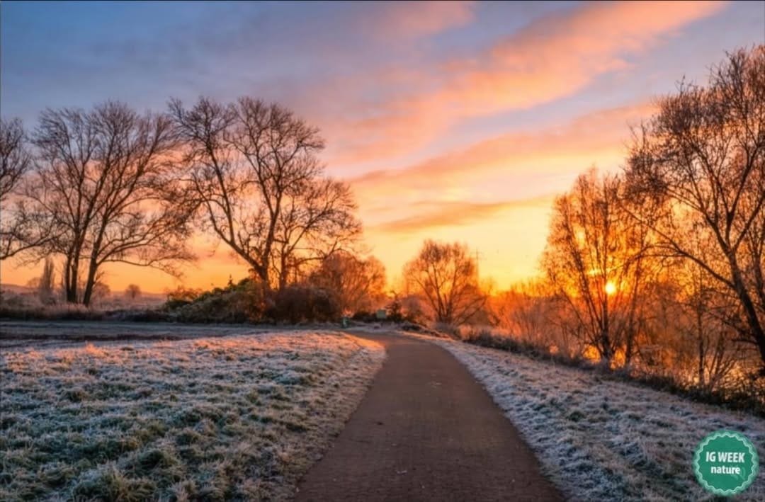 Post 8 by Harald Flechtner on Instagram (image)