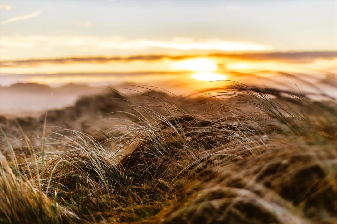 Post 7 by Harald Flechtner on Instagram (image)