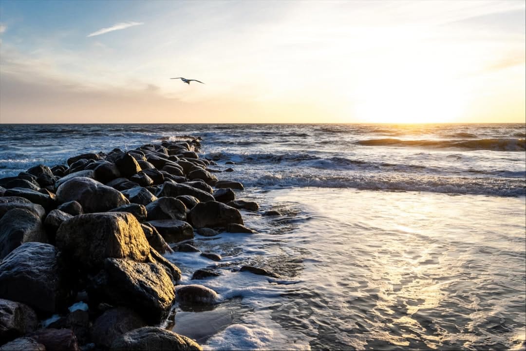 Post 6 by Harald Flechtner on Instagram (image)