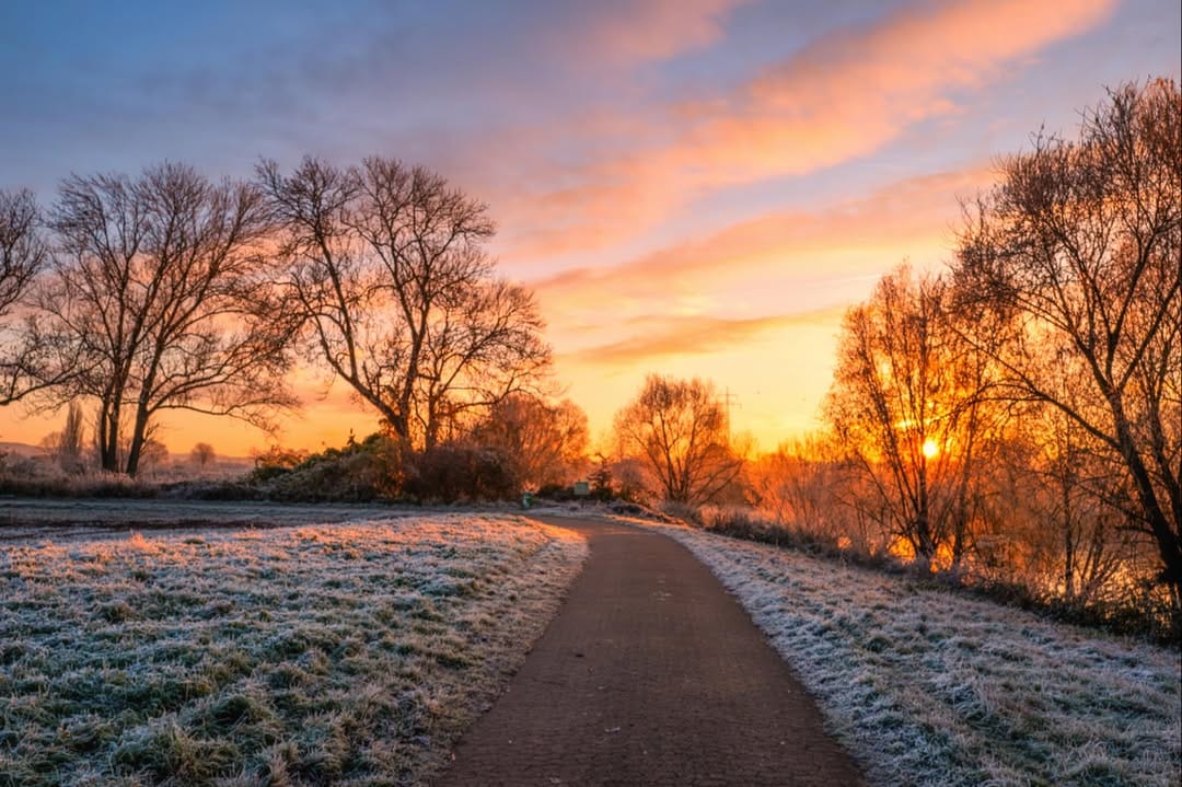 Post 10 by Harald Flechtner on Instagram (image)