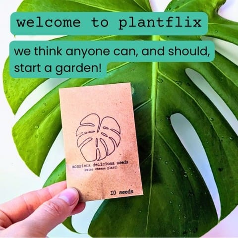 Post 10 by Alina & Jeff 💚🌱 on Instagram (carousel)