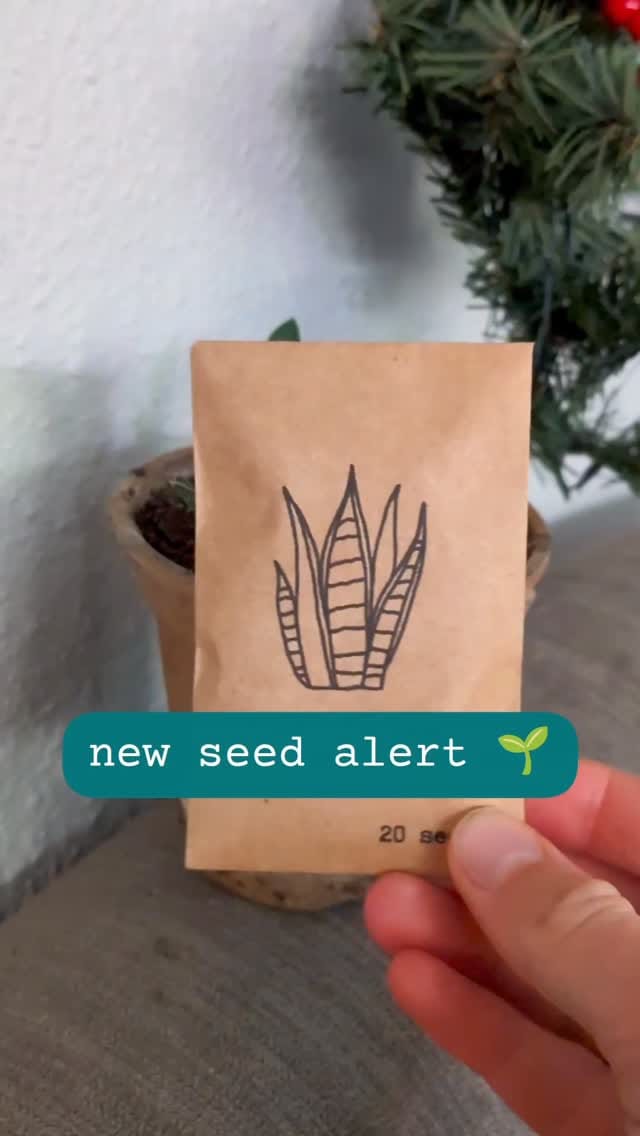 Post 7 by Alina & Jeff 💚🌱 on Instagram (video)