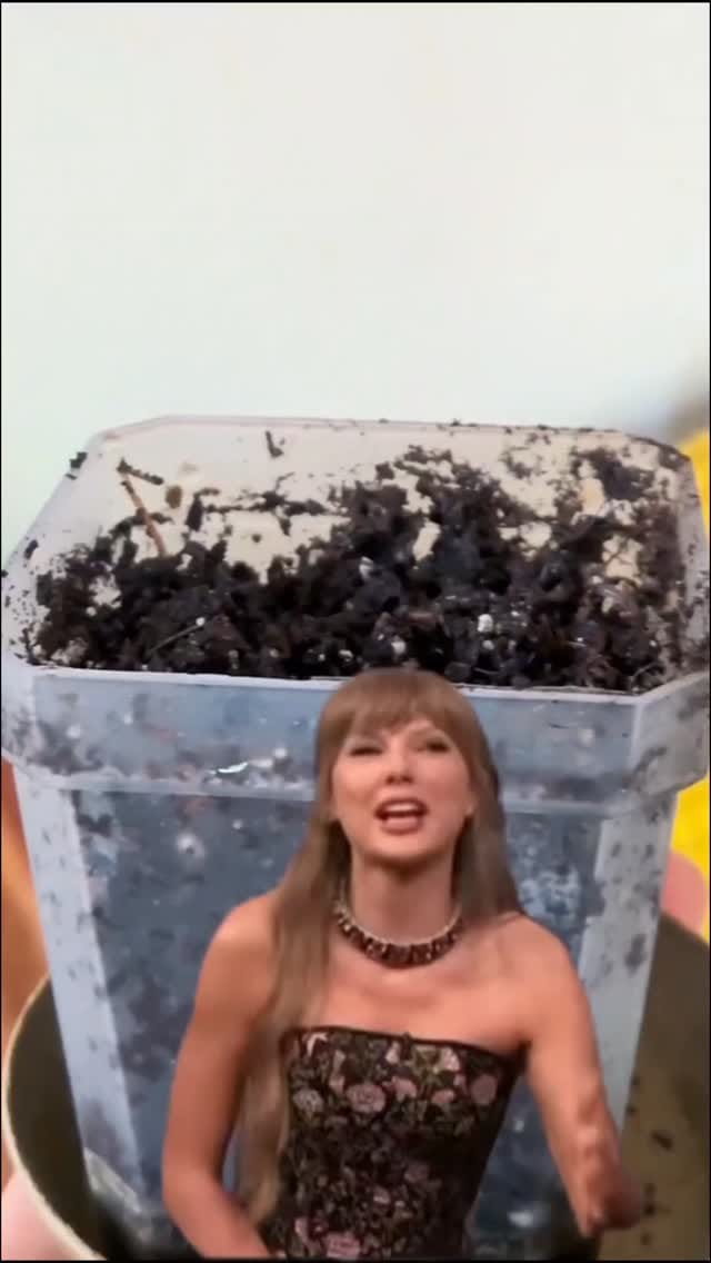 Post 1 by Alina & Jeff 💚🌱 on Instagram (video)