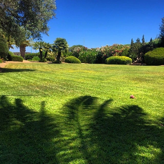 Post 10 by Filippo de Nunno on Instagram (image)