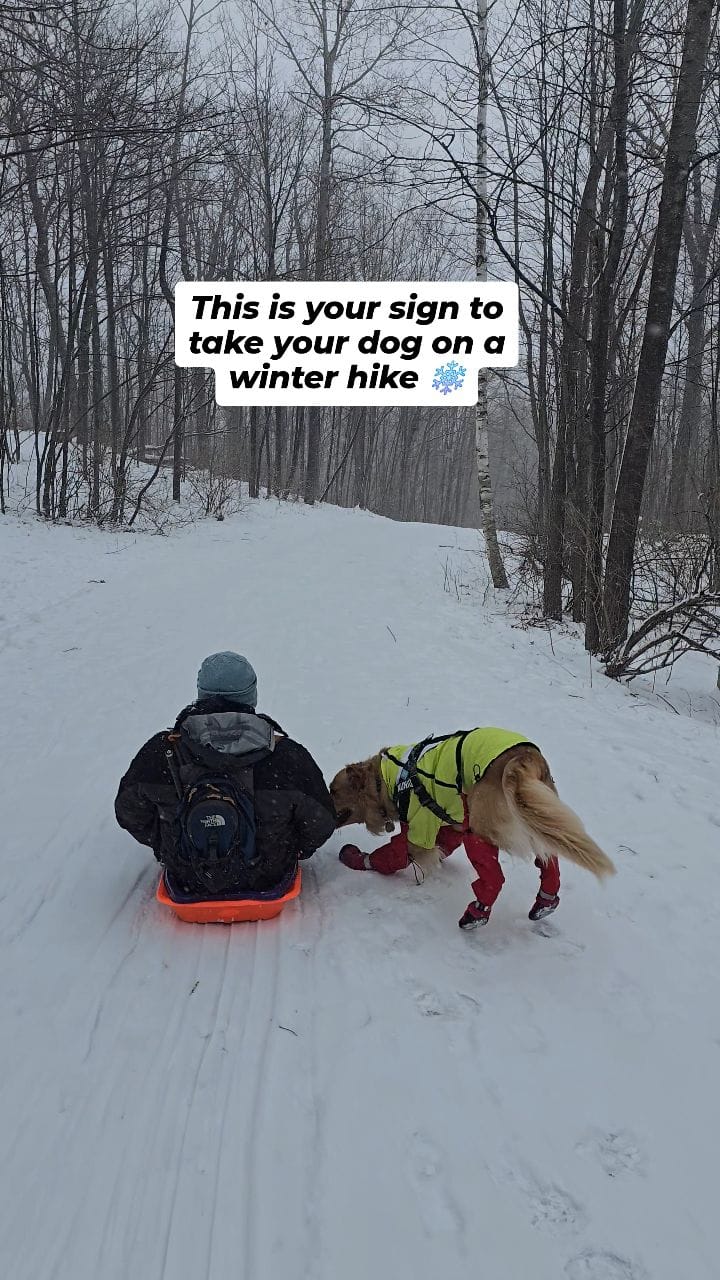 Post 6 by vanlife adventures with nuniq on Instagram (video)
