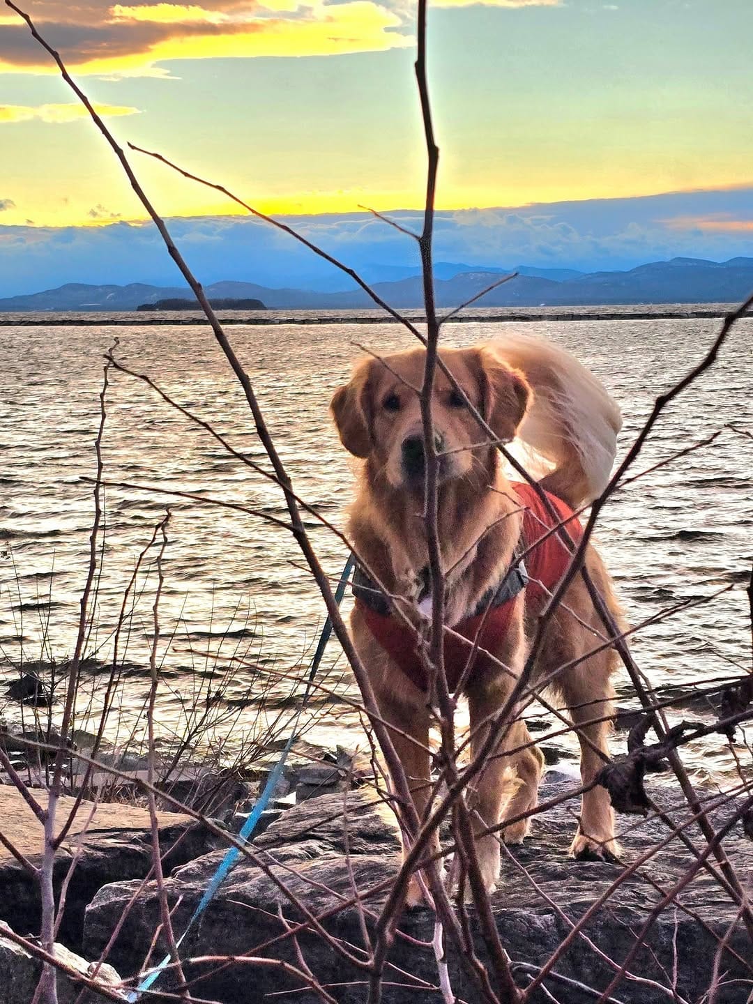 Post 1 by vanlife adventures with nuniq on Instagram (carousel)