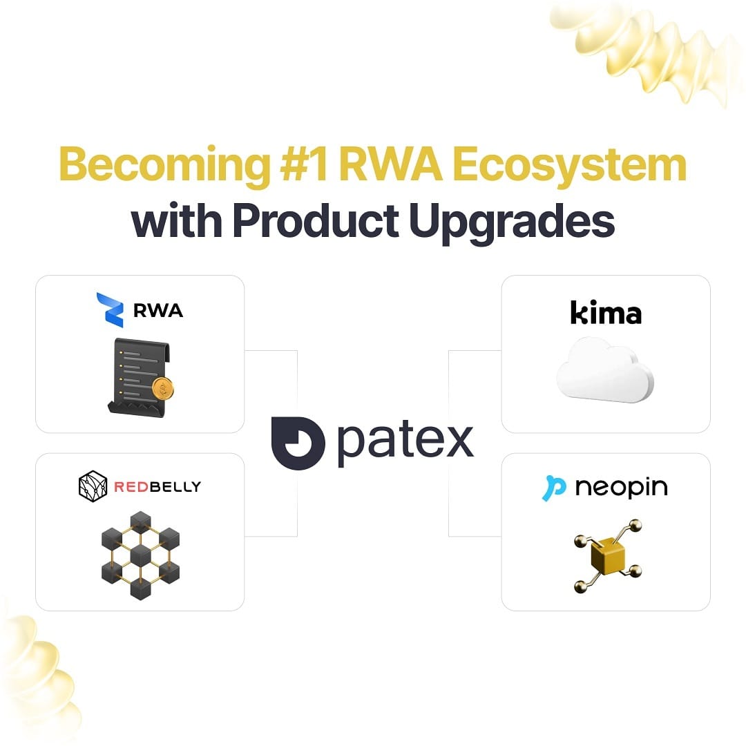 Post 7 by Patex Ecosystem on Instagram (image)