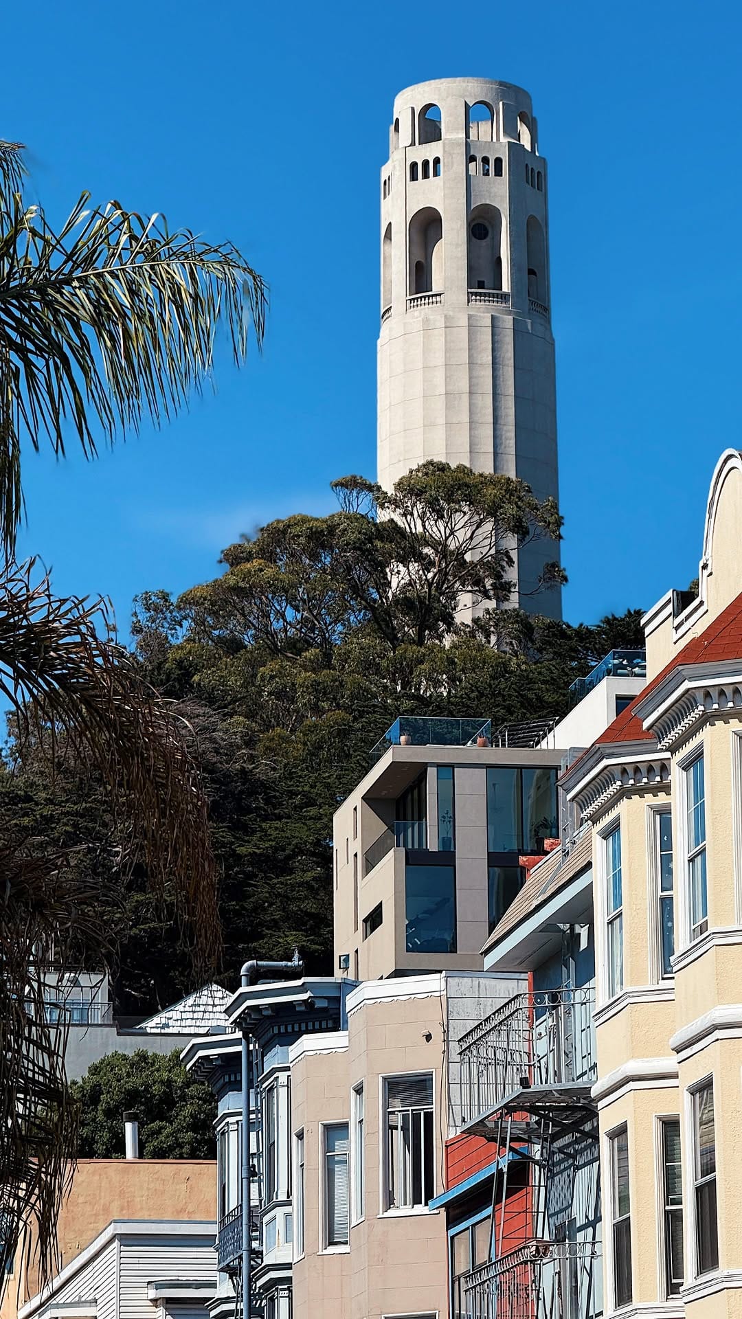 Post 7 by Official San Francisco Bucket List 🌉 on Instagram (video)