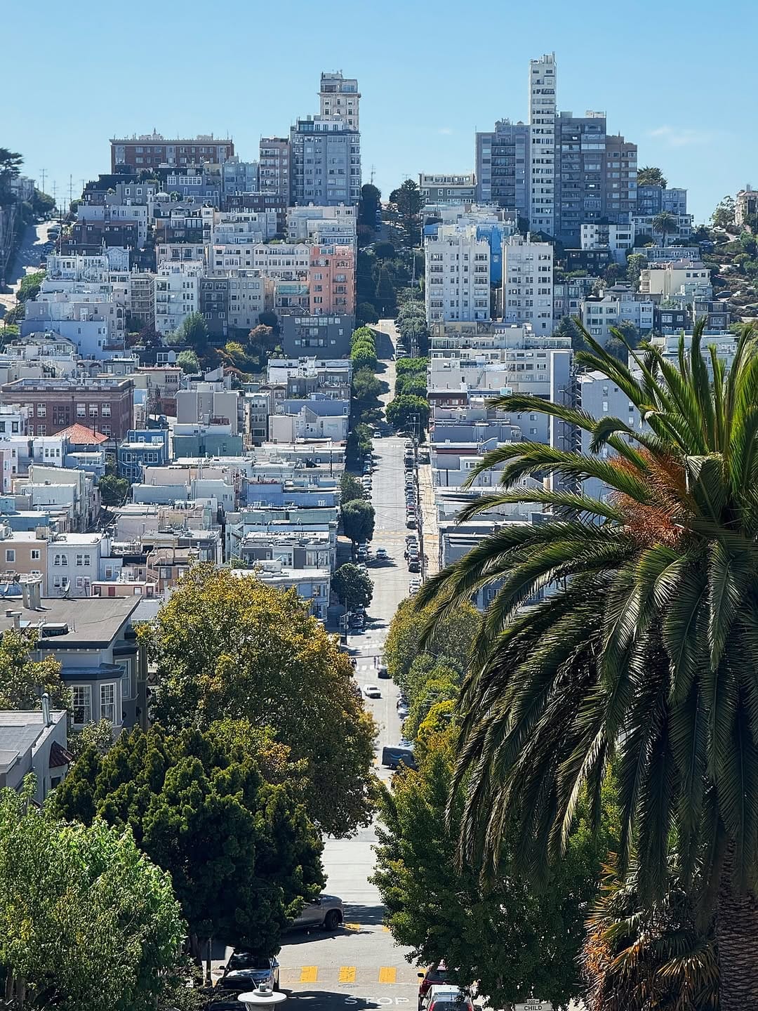 Post 8 by Official San Francisco Bucket List 🌉 on Instagram (carousel)