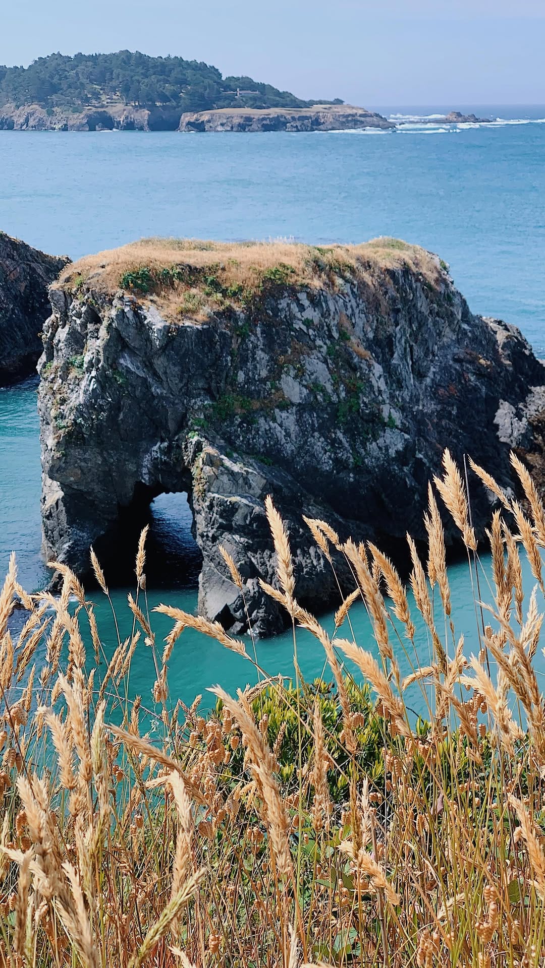 Post 1 by Official San Francisco Bucket List 🌉 on Instagram (video)