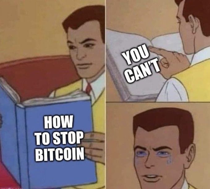 Post 7 by CryptoCake on Instagram (image)