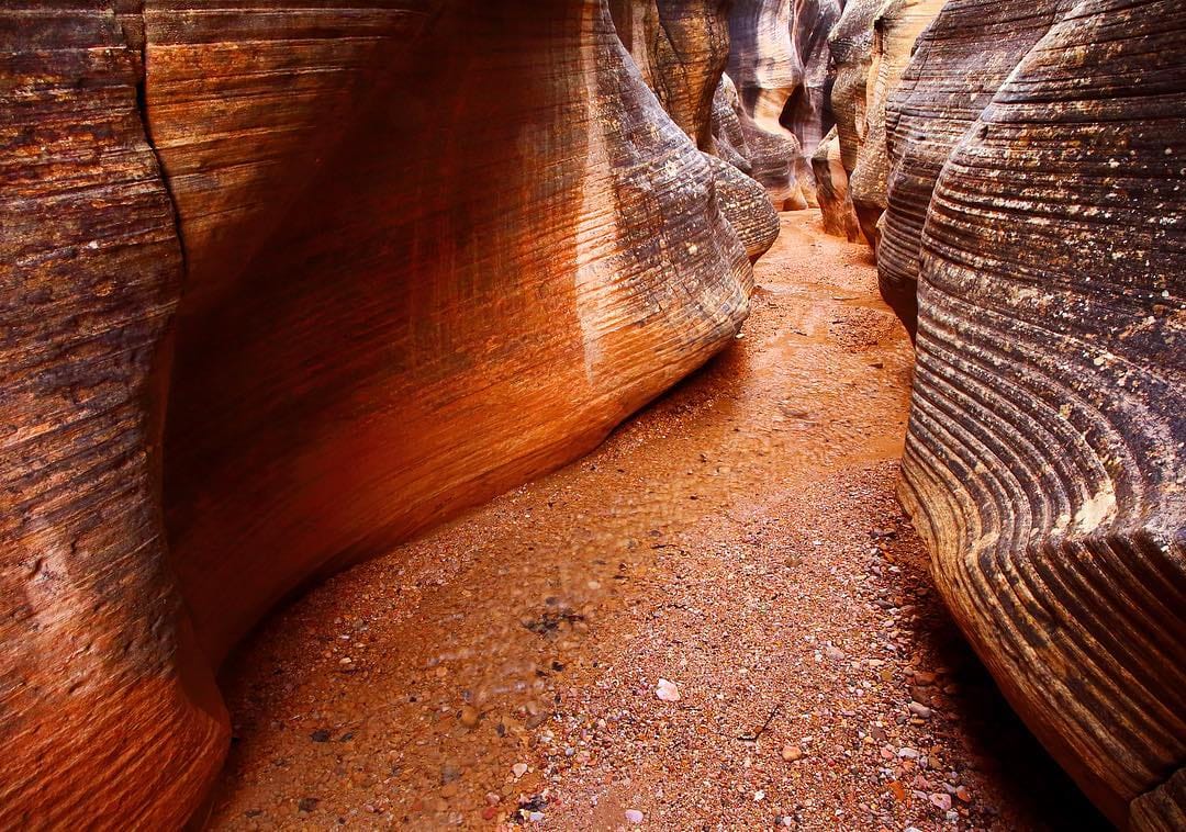 Post 7 by Paul Jones on Instagram (image)