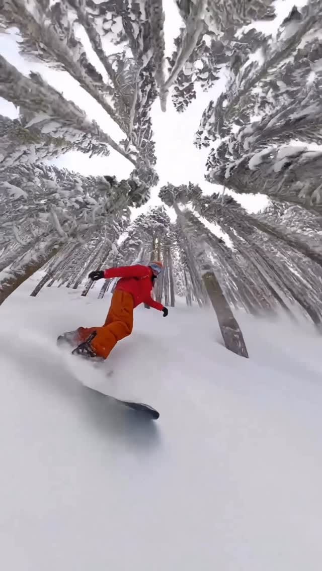 Post 2 by John Duong on Instagram (video)