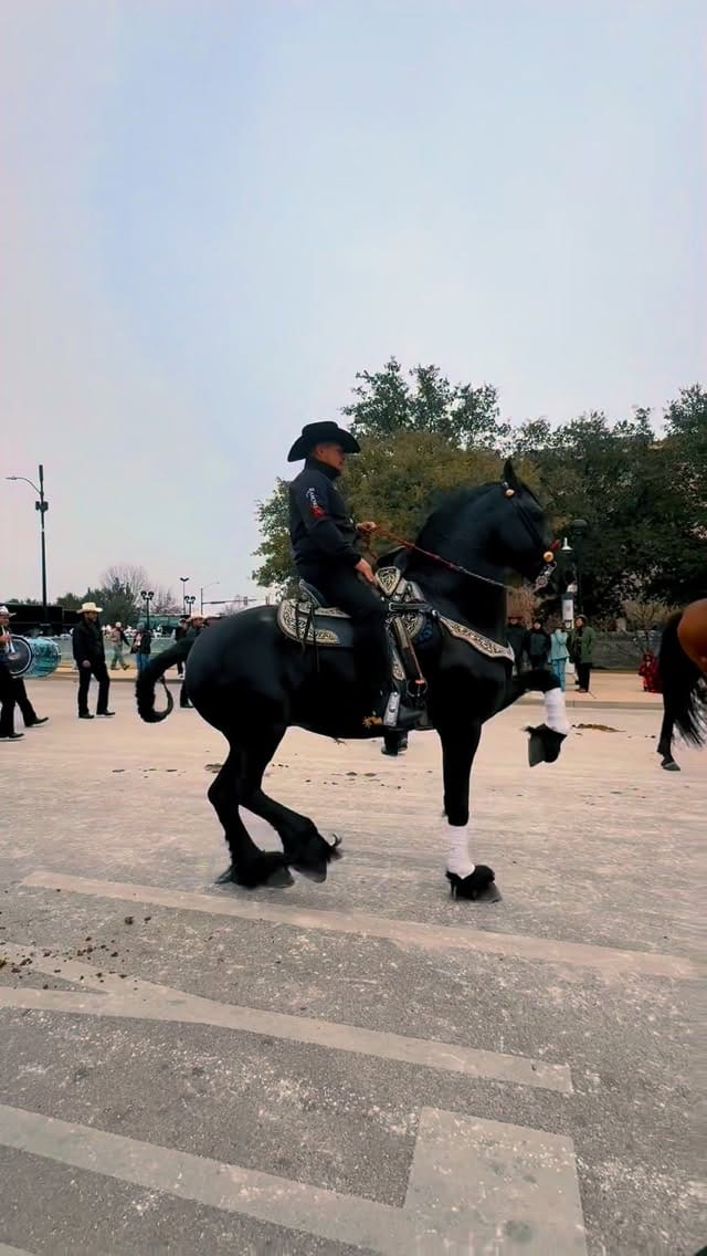 Post 1 by Mario Casarez on Instagram (video)