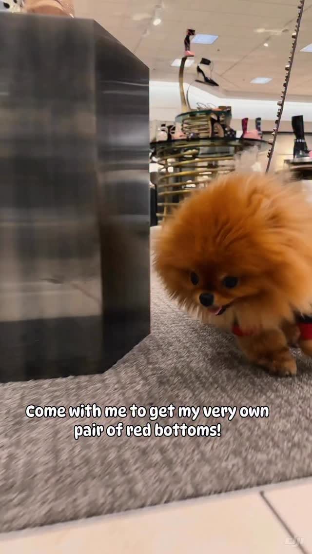 Post 3 by Louboutin aka “Loubie” ❤️🔐 Heathre Foster on Instagram (video)