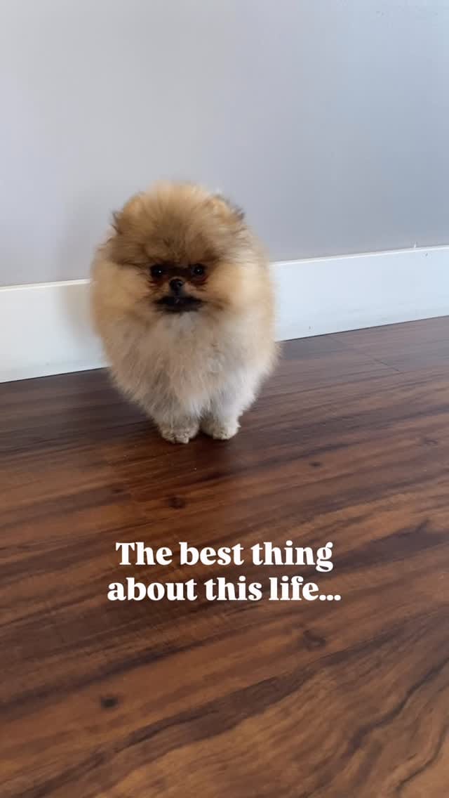 Post 7 by Louboutin aka “Loubie” ❤️🔐 Heathre Foster on Instagram (video)
