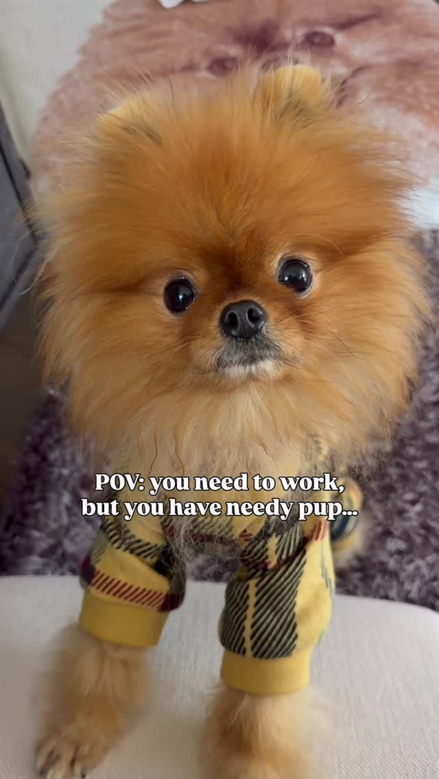 Post 1 by Louboutin aka “Loubie” ❤️🔐 Heathre Foster on Instagram (video)