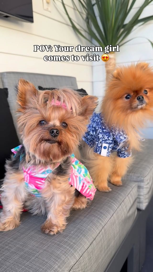Post 4 by Louboutin aka “Loubie” ❤️🔐 Heathre Foster on Instagram (video)