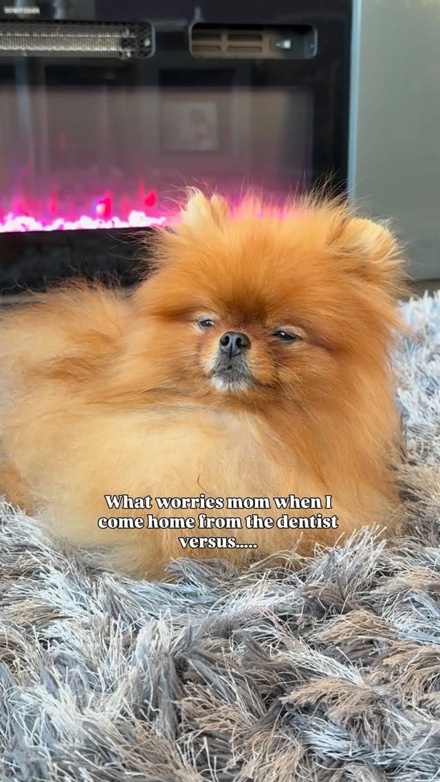 Post 6 by Louboutin aka “Loubie” ❤️🔐 Heathre Foster on Instagram (video)