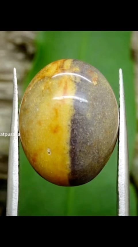 Post 5 by Pusaka Dunia on Instagram (video)