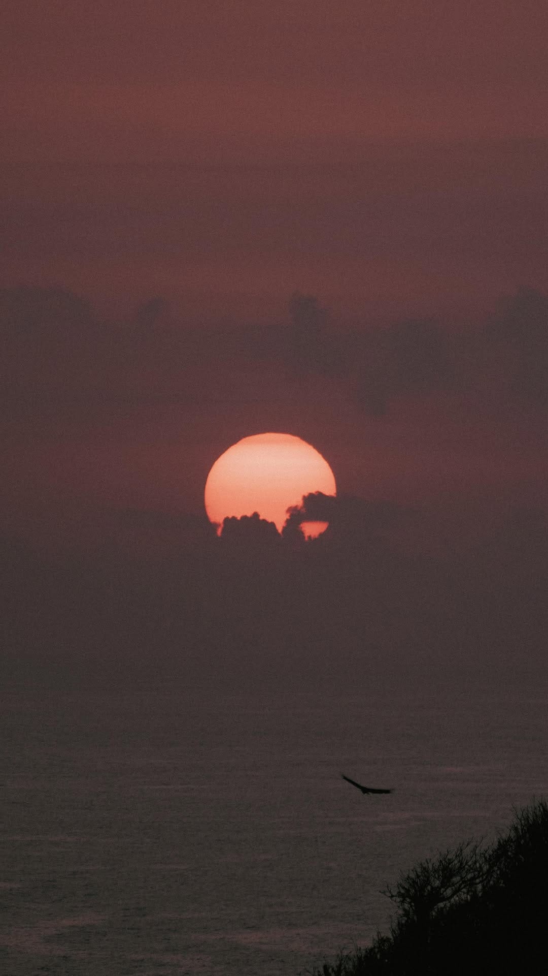 Post 10 by gigi aly 𖦹 photographer on Instagram (video)