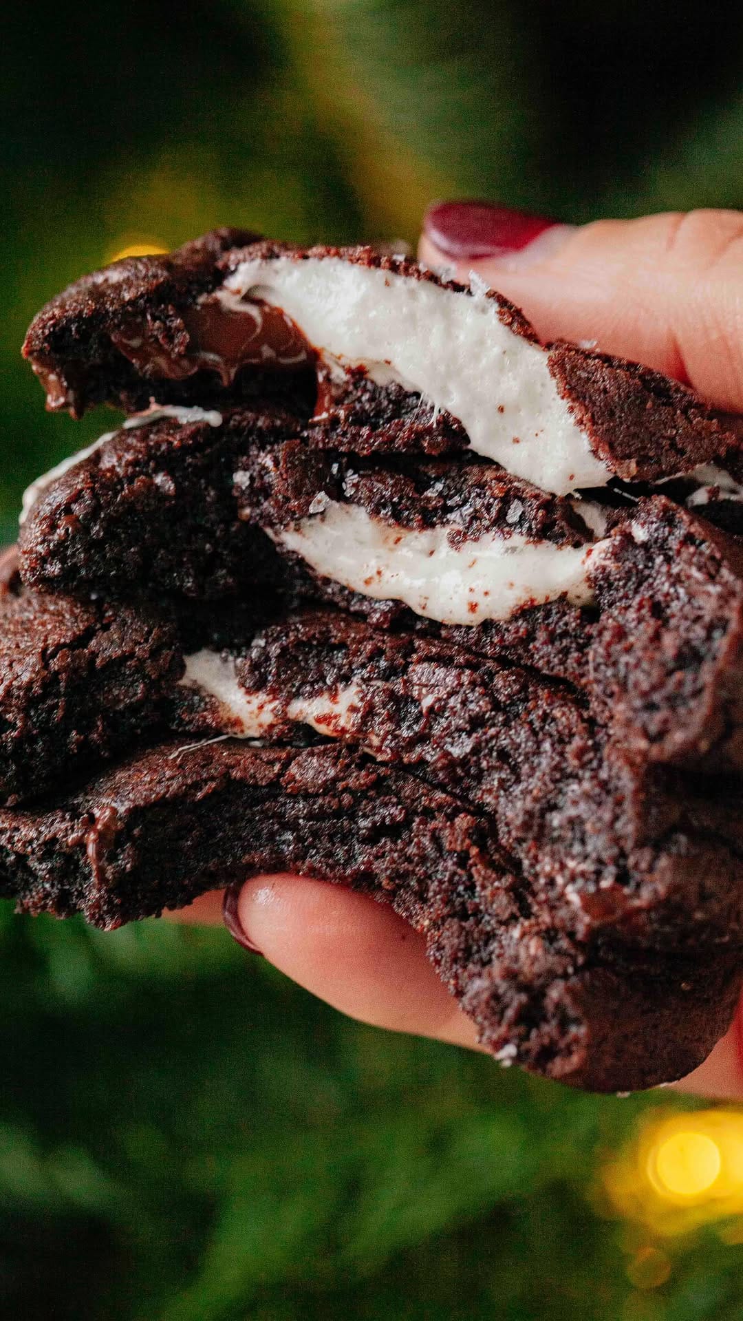 Post 8 by Candice | Seattle Food & Travel Photographer on Instagram (video)
