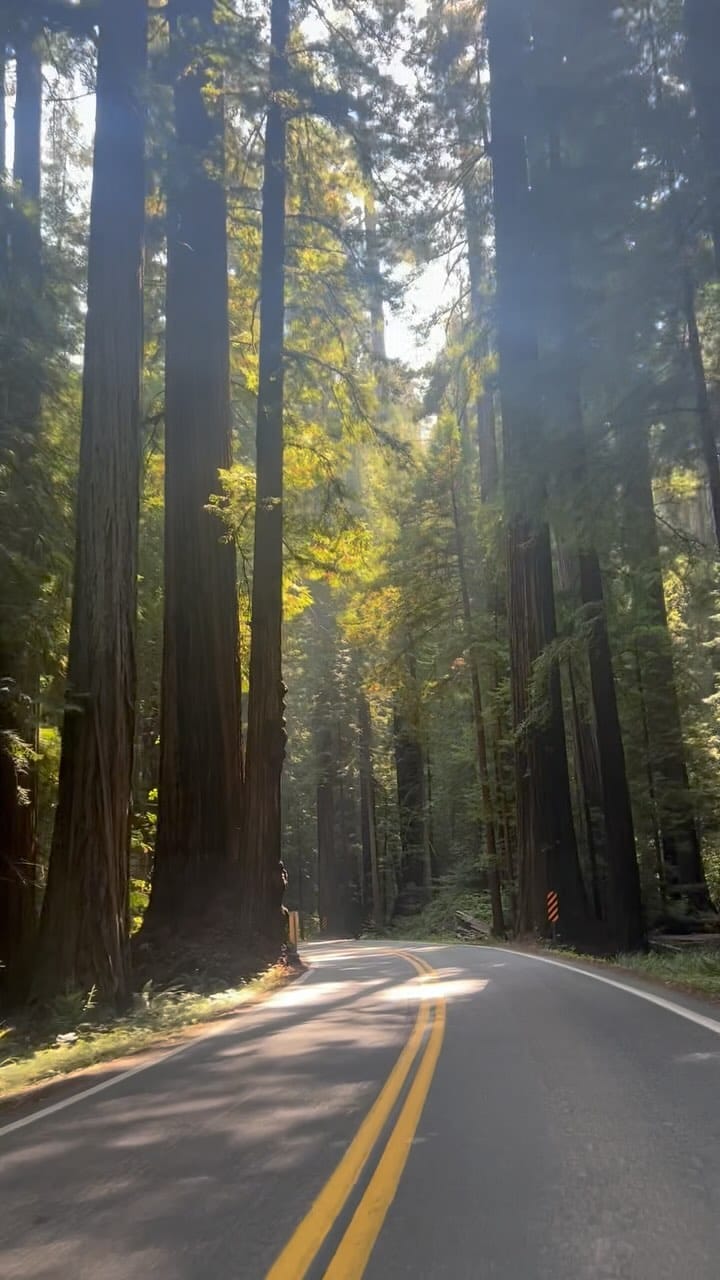 Post 8 by Mariah Ravan ✨ Outdoor Adventures ✨ Travel Guides & Tips on Instagram (video)