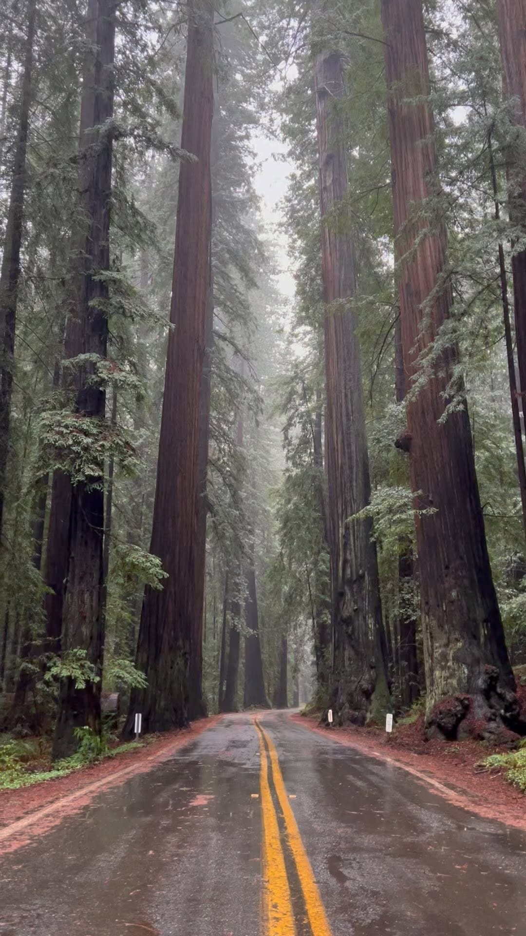 Post 10 by Mariah Ravan ✨ Outdoor Adventures ✨ Travel Guides & Tips on Instagram (video)