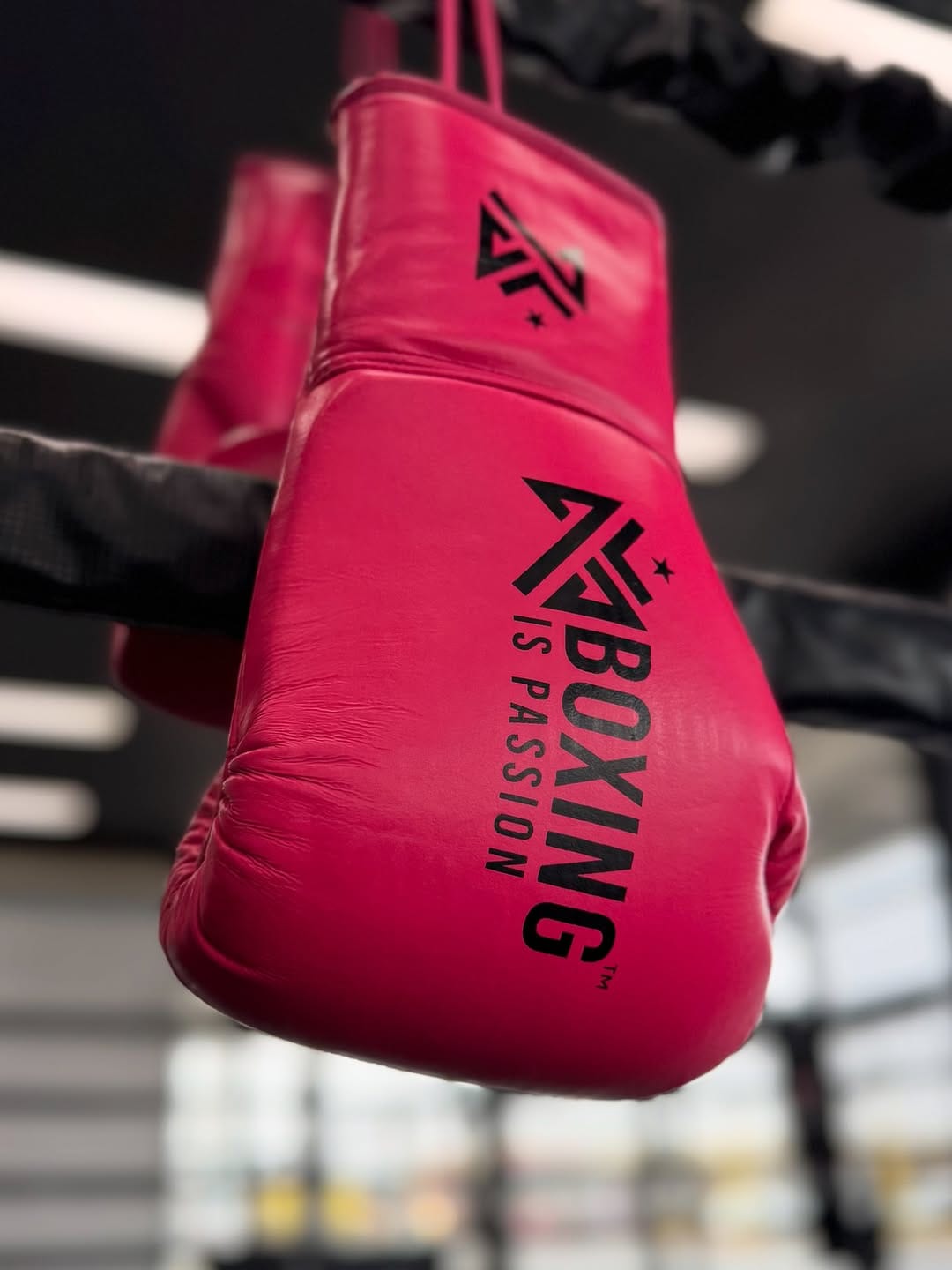 Post 2 by Boxing is Passion™ on Instagram (image)