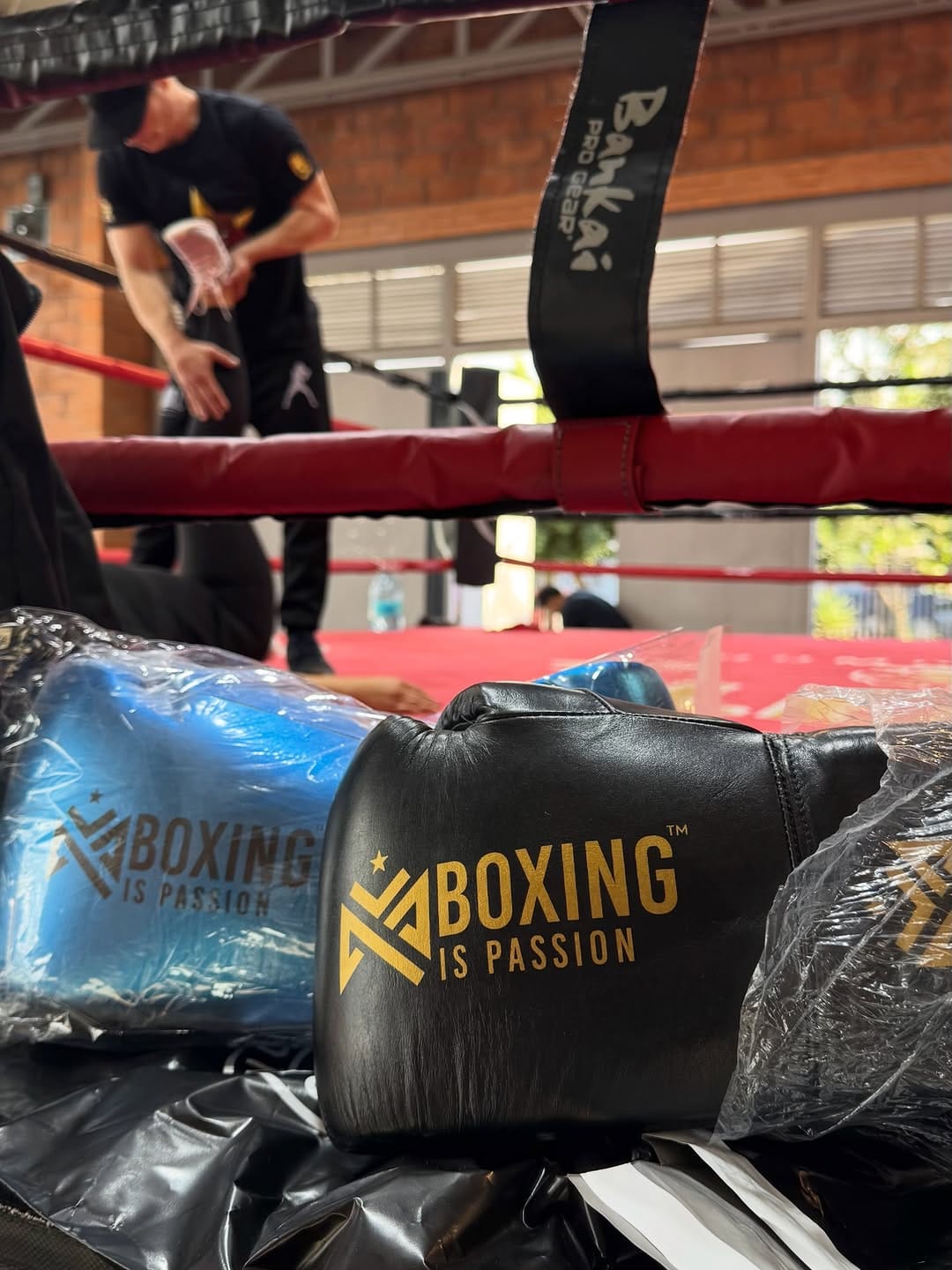 Post 3 by Boxing is Passion™ on Instagram (image)