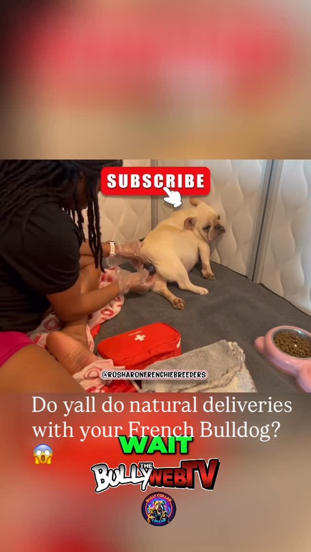 Post 1 by Melodie Scott on Instagram (video)