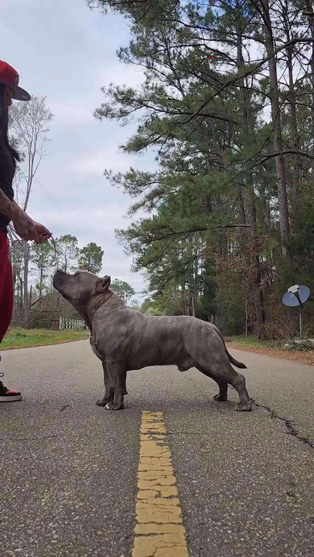 Post 5 by Melodie Scott on Instagram (video)