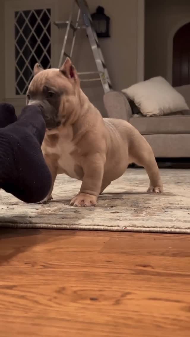 Post 8 by Melodie Scott on Instagram (video)