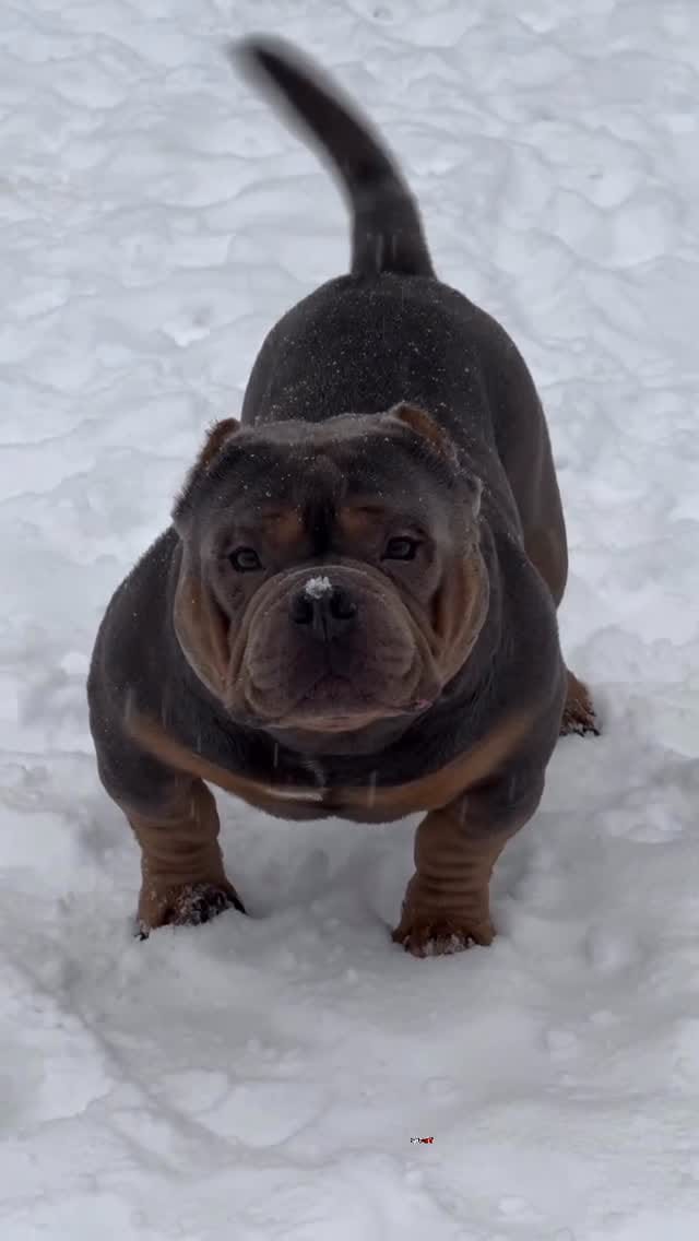 Post 9 by Melodie Scott on Instagram (video)