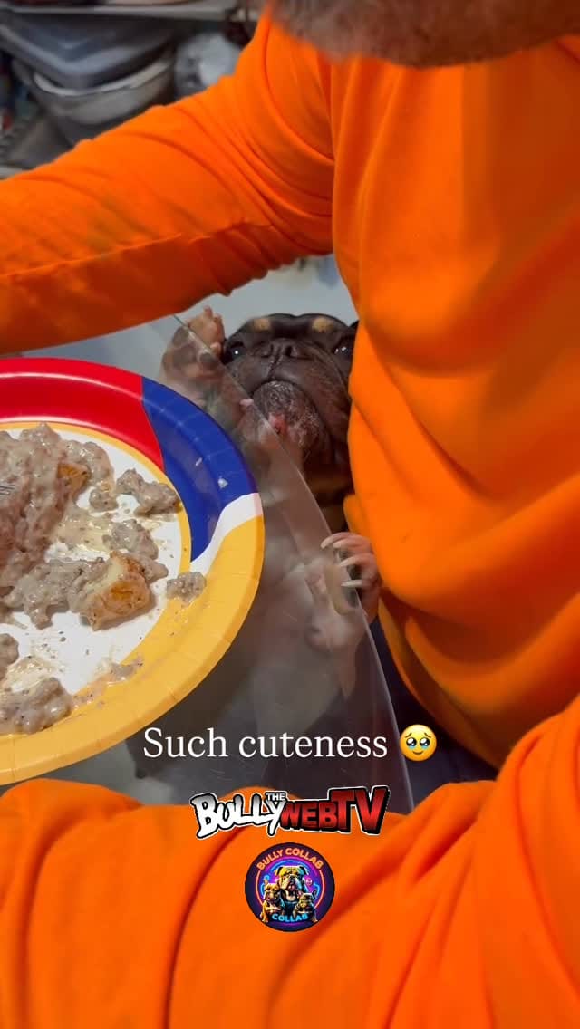 Post 6 by Melodie Scott on Instagram (video)