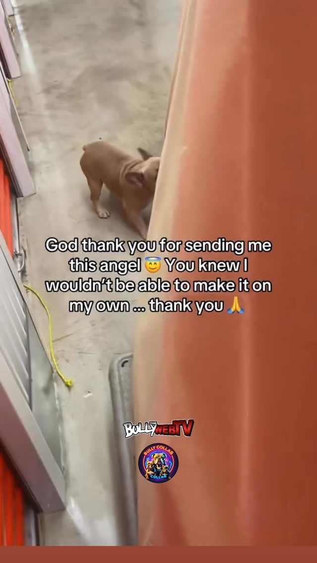 Post 3 by Melodie Scott on Instagram (video)