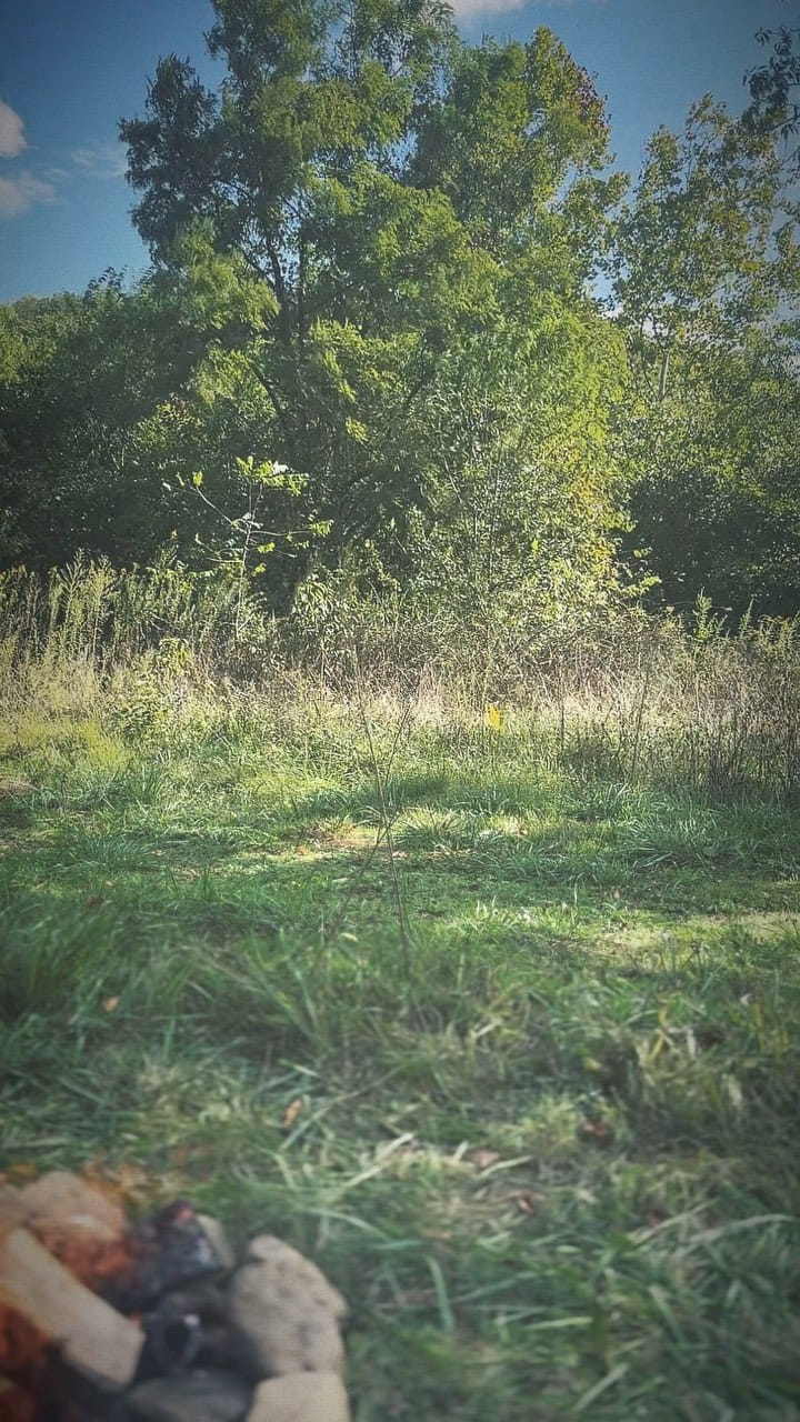 Post 7 by MG - معتز غزلان on Instagram (video)