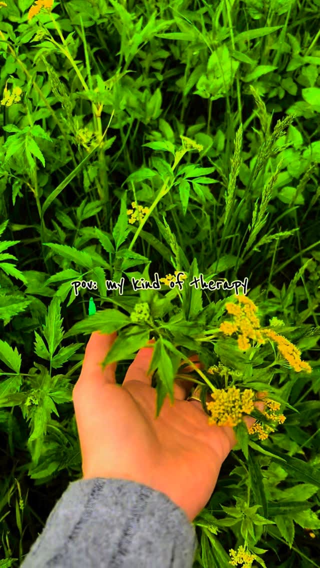 Post 4 by 𝑠𝑎𝑚𝑎𝑛𝑡ℎ𝑎 𝑧𝑖𝑚𝑚𝑒𝑟𝑚𝑎𝑛 🌻 | 𝑇𝑟𝑎𝑣𝑒𝑙，𝐶𝑜𝑛𝑡𝑒𝑛𝑡 𝐶𝑟𝑒𝑎𝑡𝑜𝑟 on Instagram (video)