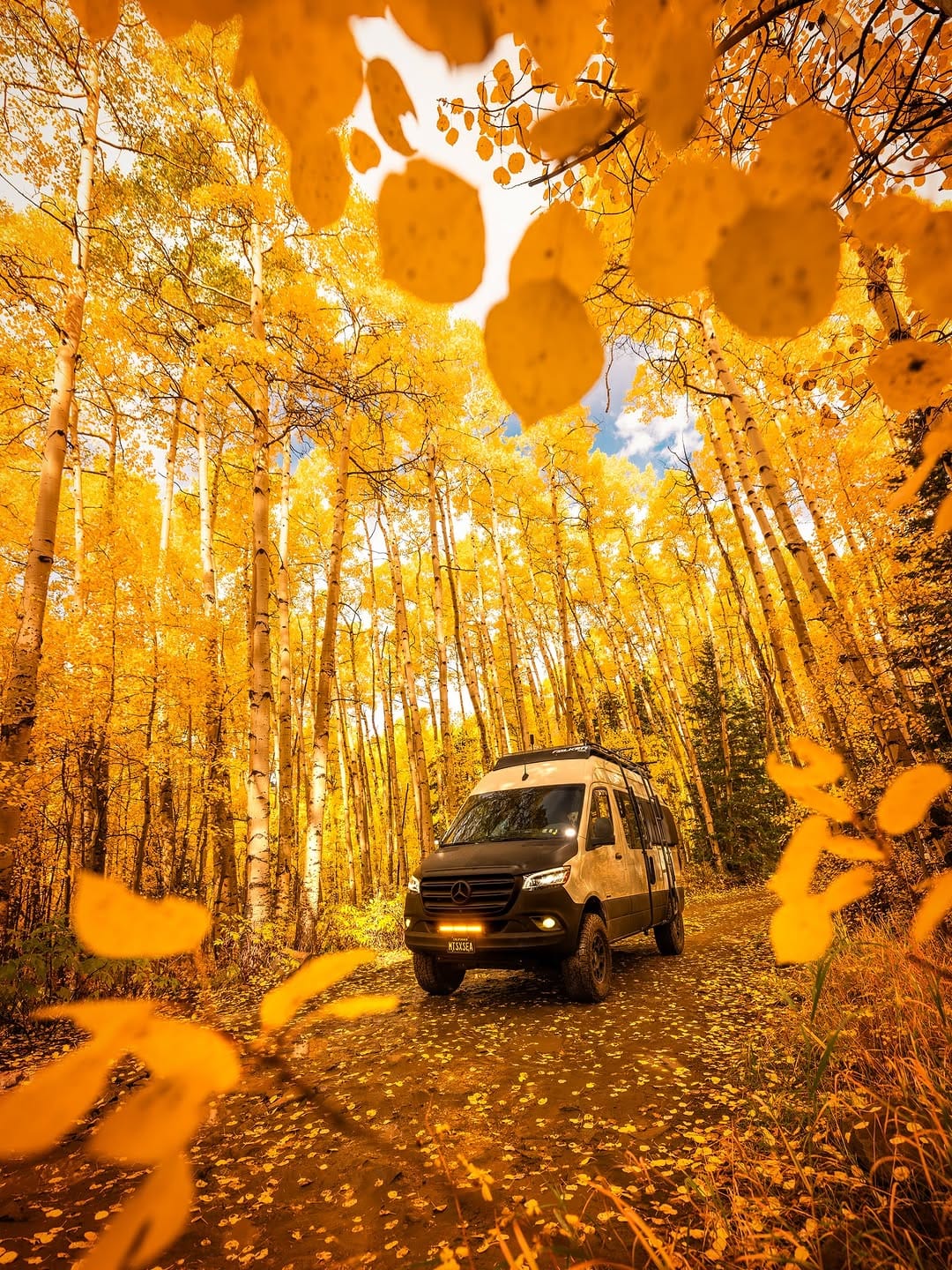 Post 7 by CONNOR MORRIS 🌅 Travel, Adventure, Vanlife on Instagram (carousel)