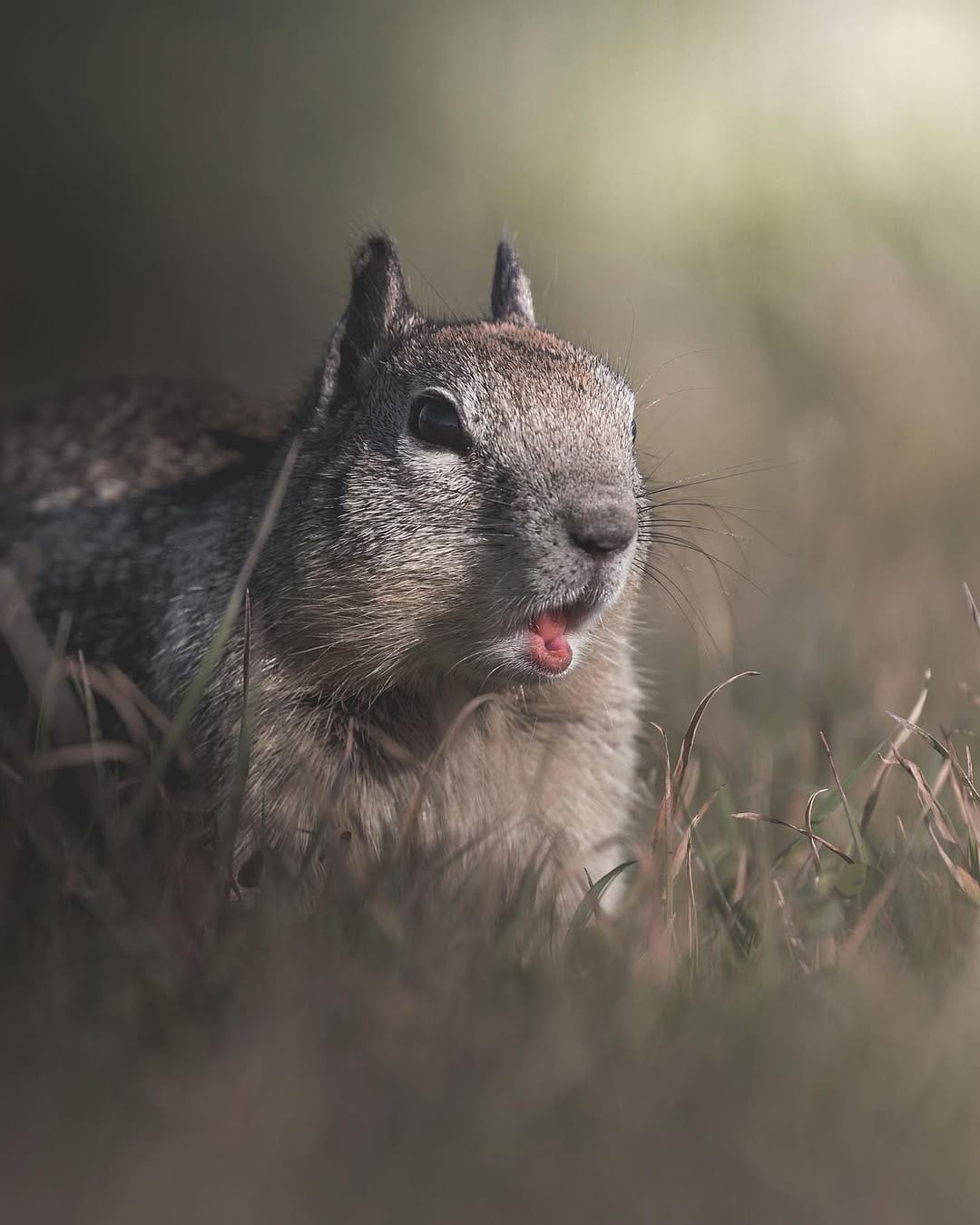 Post 10 by Daniel J Nevares on Instagram (image)