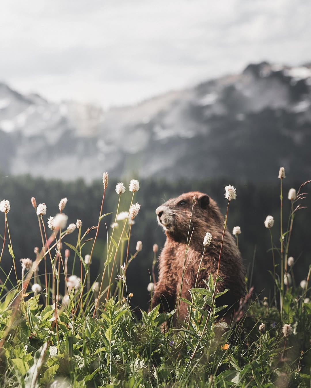 Post 6 by Daniel J Nevares on Instagram (image)