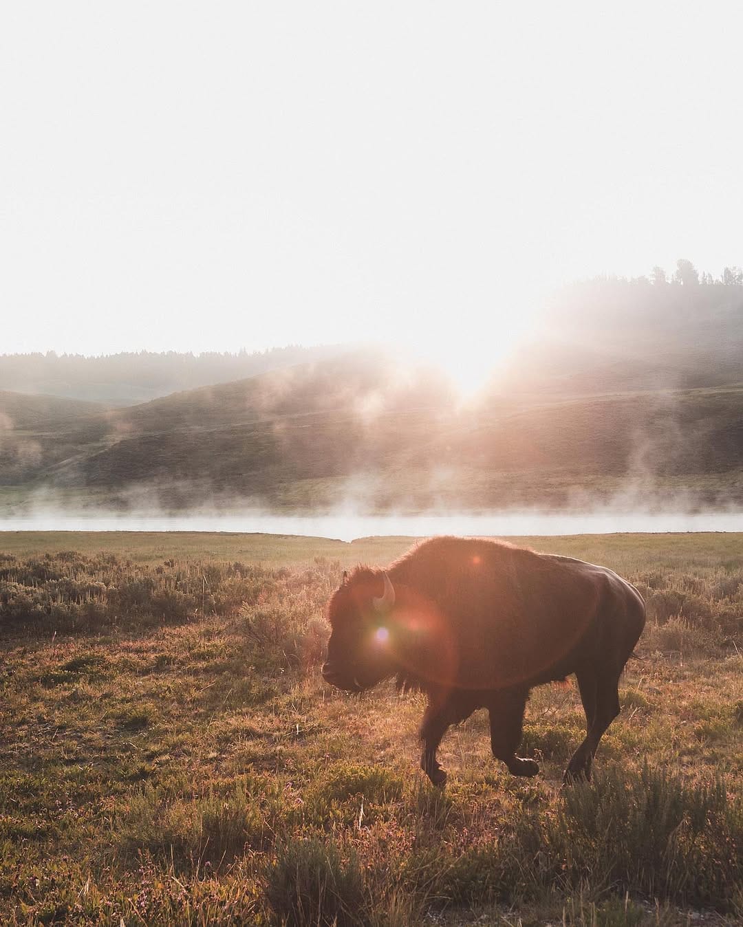 Post 1 by Daniel J Nevares on Instagram (image)