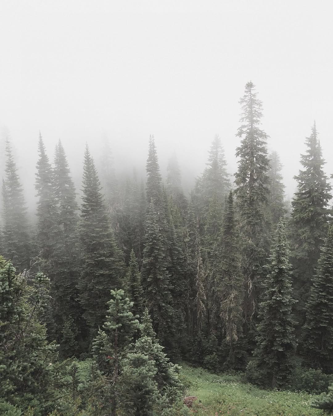 Post 5 by Daniel J Nevares on Instagram (image)