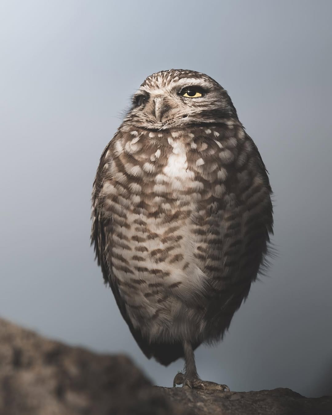 Post 2 by Daniel J Nevares on Instagram (image)