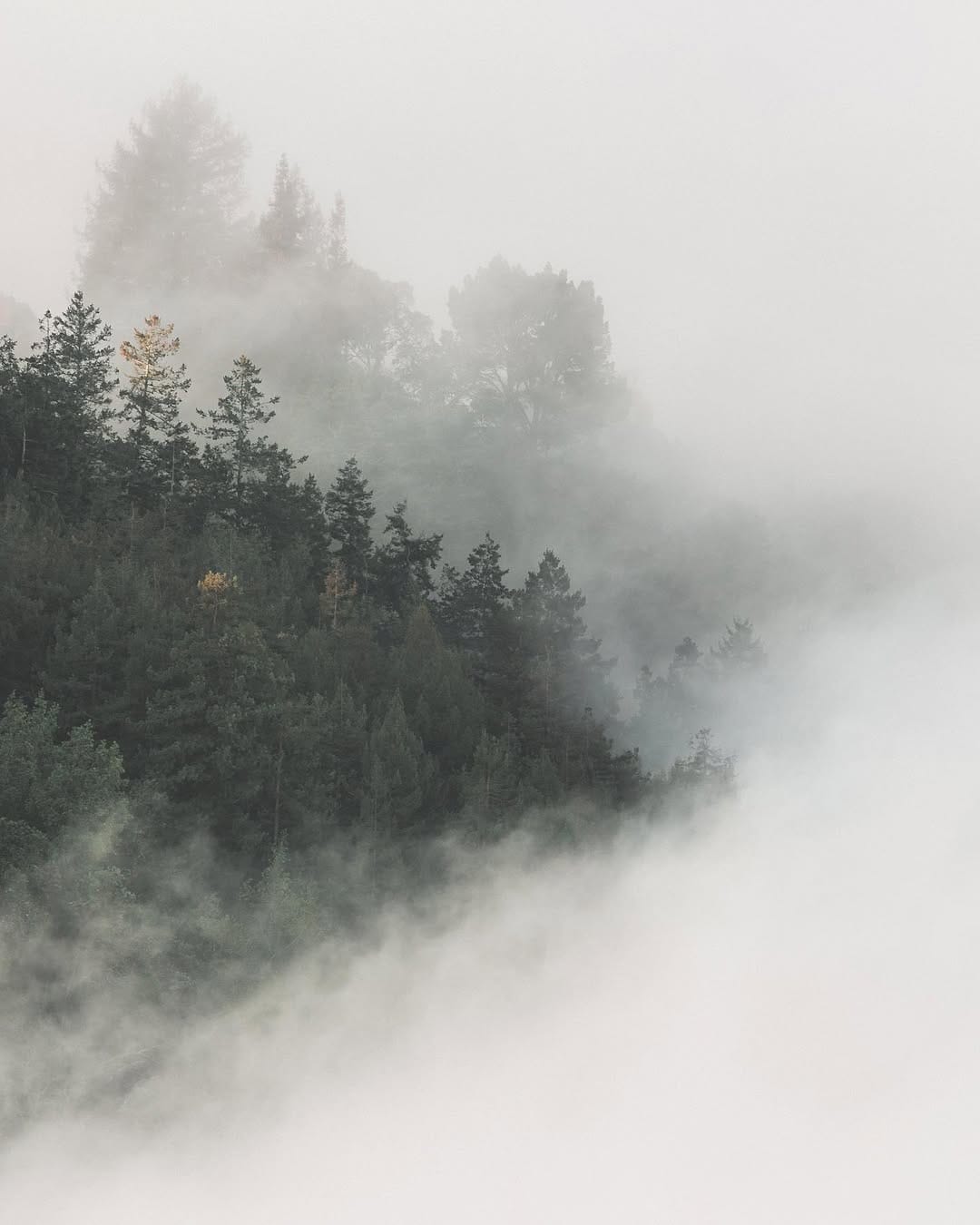 Post 7 by Daniel J Nevares on Instagram (image)