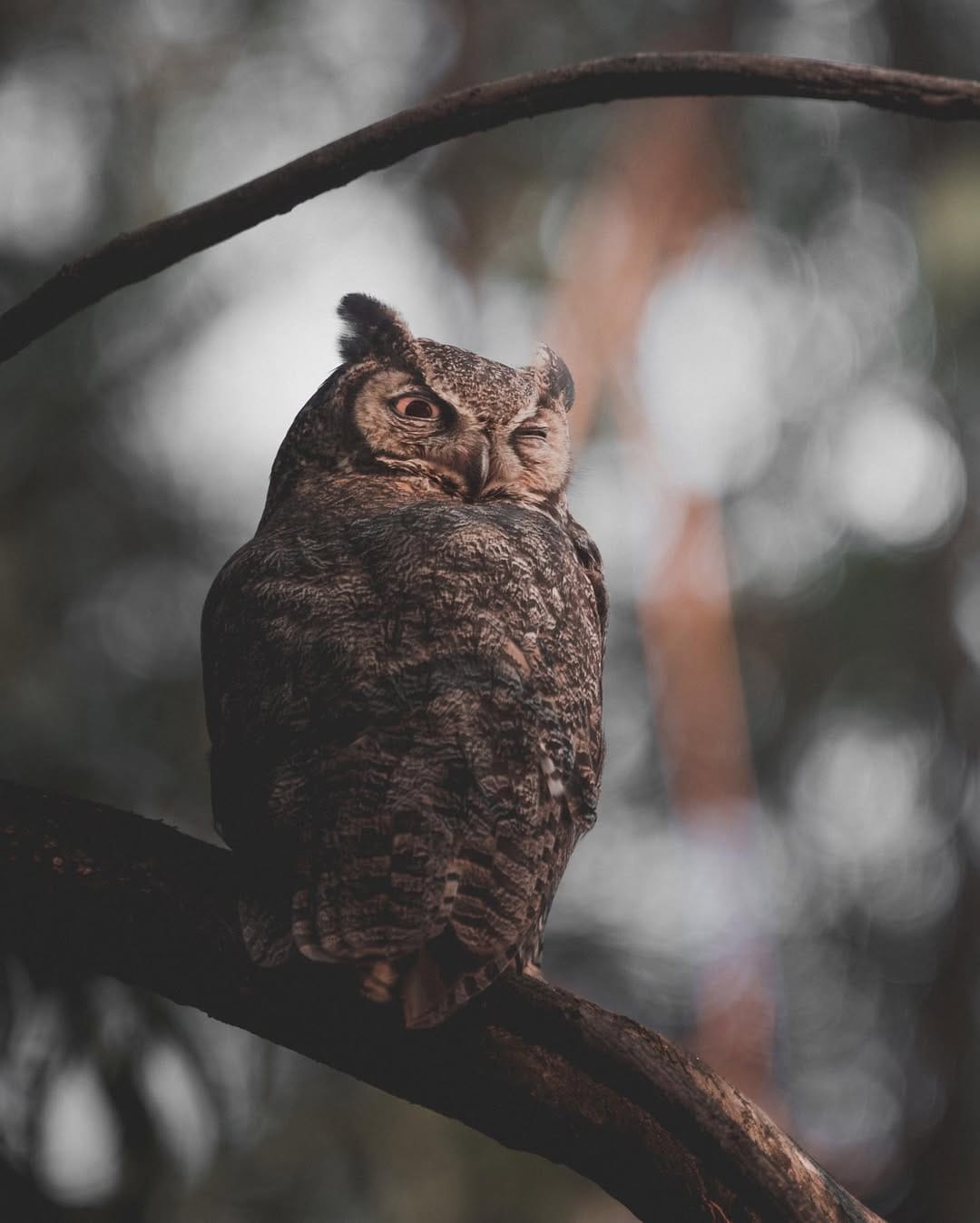 Post 4 by Daniel J Nevares on Instagram (image)